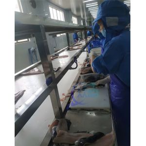 High Quality Fish Skin Removal Machine Fish Skinning Machine Squid Tilapia Fish