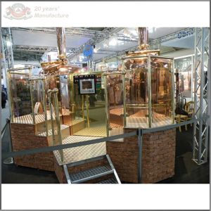 10HL stainless steel or red copper beer making machine for microbrewery or