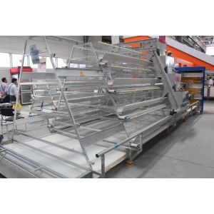 Cheap Eggs Layer Chicken Cage Cold And Hot Galvanized Feeding System for sale
