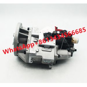 Engine Fuel Pump Parts For Cummins M11-C300 3165655