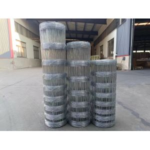 Main Iron Gate Designs Low Carbon Steel Wire 2 Feet Horse Fence Roll Wire Mesh