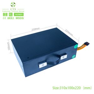 Swappable Lithium Ion Battery 60V 48V 72V 50ah 60ah 80ah For Motorcycle Ebike