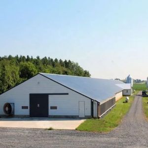 Buy cheap Prefab Single Storey Steel Structure Fabrication For Warehouse Building from wholesalers