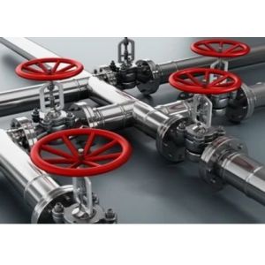 API ANSI JIS GOST DIN Manual Steel Gate Valve PT Single Wedge With Bolted Bonnet