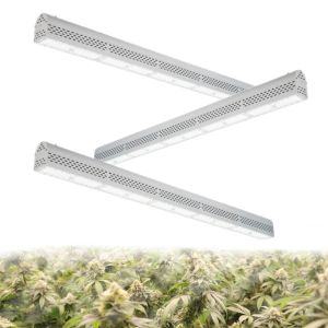 Linear Design 2 Foot Led Grow Light For Commercial Cannabis Growing Project