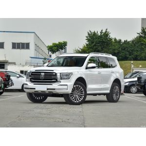 China 3.0T SUV Petrol Cars Sports Version Tank 500 2023 Built With 7 Seats White on sale