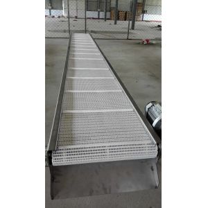 White Modular Conveyor Belt