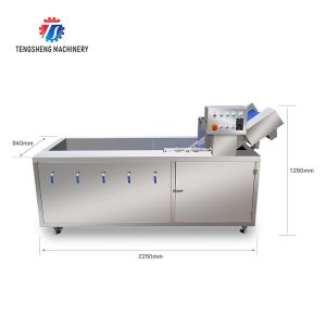 Ozonation Hyperbaric Spraying Fruit And Vegetable Washing Machine SS