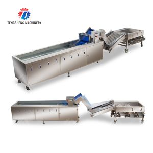 Fruit bubble washing and sorting production line Fruit Vegetable FOOD processing