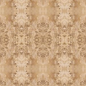 China Fancy Panel Faced Natural White Poplar Burl Wood Veneer For Hotel Decoration 2440/2745mm Lengthened Size China Supply on sale