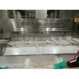 Vegetable Flash Tunnel Blast Freezer Fish Feed Processing Liquid Nitrogen Tunnel