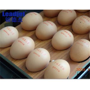 Different Leadjet Continuous Inkjet Printer / Egg Inkjet Printer With Different