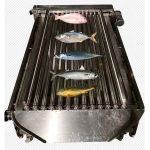 Customized PLC Control Fish Grading Equipment For Sorting Small Fish With