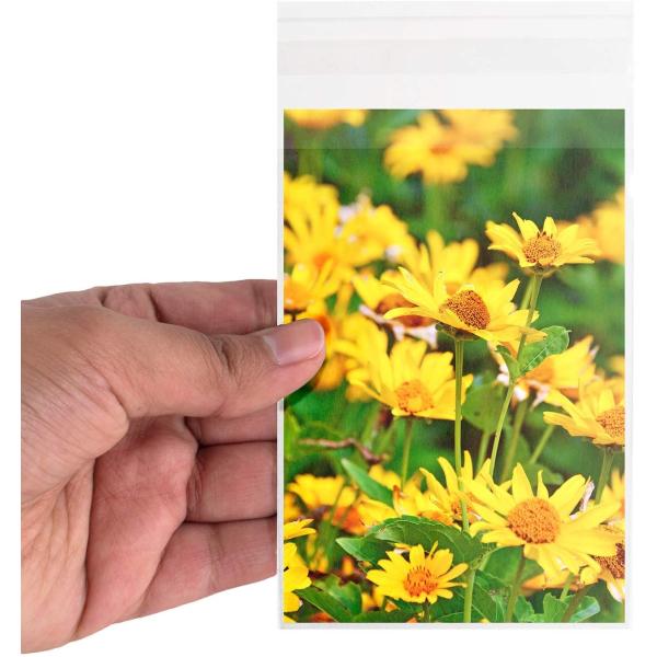 Quality OPP Plastic Packaging Treat Bags Disposable With Self Adhesive Seal wholesale