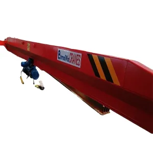 Cheap Control Method Pendent Control/Remote Control Overhead Hoist in Customized Color for sale
