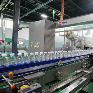 Full Automatic 52,000bph Bottling Line with Pre-treatment System and Blowing