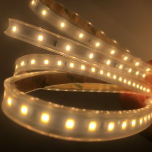 3000K 4000K 6500K 12 Volt LED Flexible Light Strips 24V SMD2835 Smart Dual 2