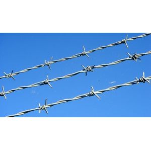 Silver Electric Galvanized Security Barbed Wire Low Carbon Steel BWG 12 14 16