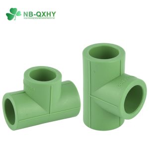 Customization PPR Pipe Fitting Male Thread Equal Tee with Brass Customized