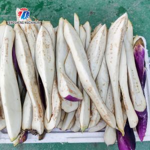 120KG Fruit and vegetable slicing machine eggplant and melon cutting long strip