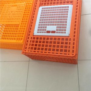 Pure PE Poultry Carrier Crate Chicken Transport Cage Customized