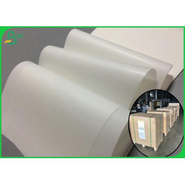 Quality 30gsm 40gsm Multifunctional Food Grade Paper Roll With Virgin Material wholesale