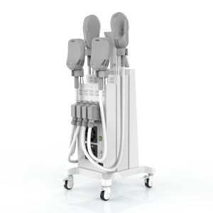 2 Handles Ems Sculpting Machine Postpartum Repair, Ems Muscle Building Machine