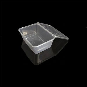 32g 750ml Rectangle Disposable Food Containers With Lids
