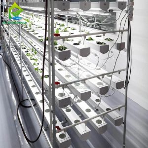 Automated Intelligent Planting System Container Farm Multi-layer Vertical NFT