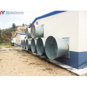 Steel Structure Poultry Shed - Fully Automated Chicken Farming Equipment