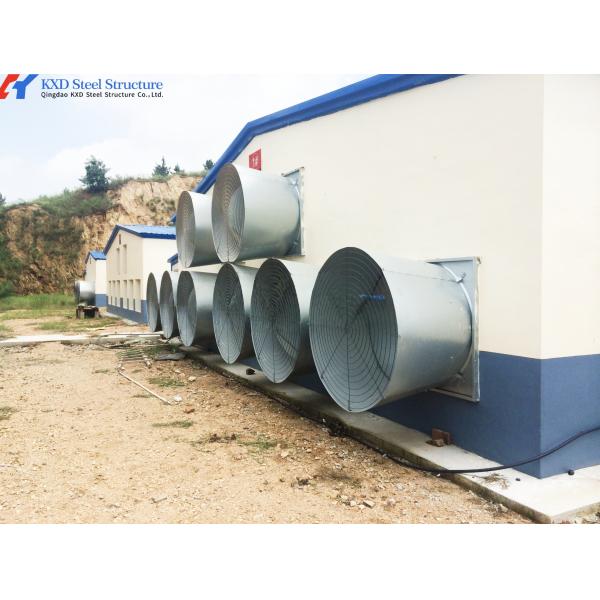 Quality Steel Structure Poultry Shed - Fully Automated Chicken Farming Equipment wholesale