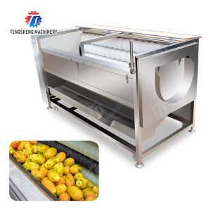 Large scale brush Washing cleaning and peeling machine Ginger Potato Carrot Taro