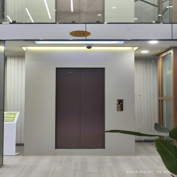 Quality Panoramic Pitless Home Elevator | Lightweight Aluminium Frame wholesale