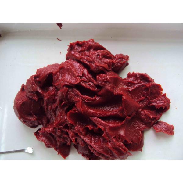 2 Years Shelf Life Canned Tomato Sauce Serving Suggestions Mix With Water To