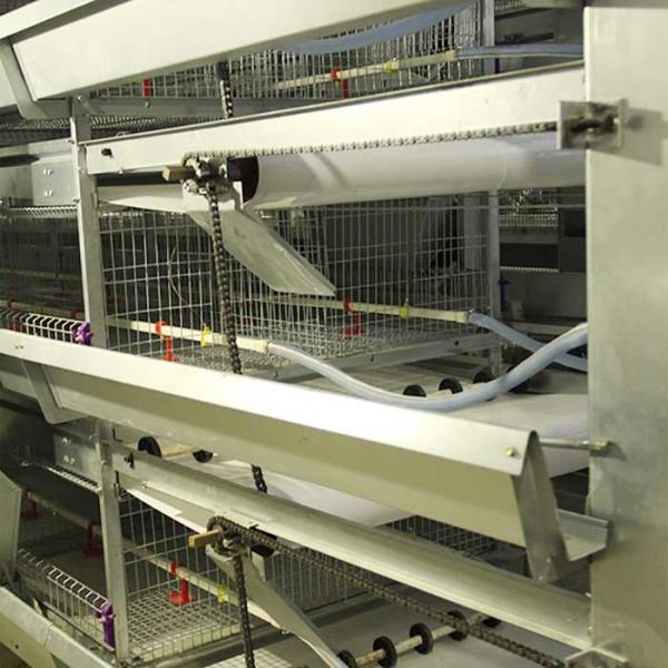 Quality Smooth Mesh 4 Tier Layer Cage , Baby Chicken Cage With Valve Connector wholesale
