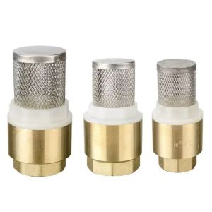 Brass Check Valve 1/2 Inch