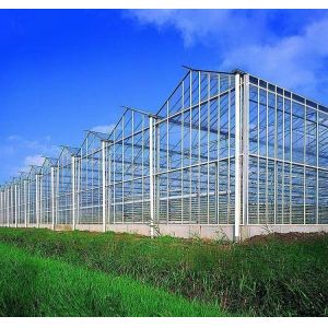 Double Layer Vegetable Planting Greenhouse with Drip Irrigation and Steel