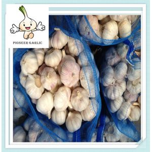 China 2016 new crop peeled garlic exporters from china China Fresh Garlic / Red Garlic on sale