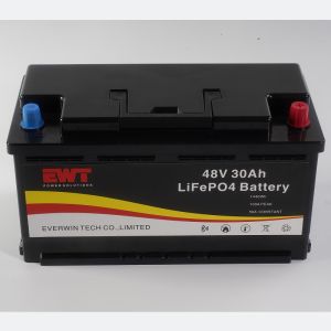 Wide Range Voltage 48V Lithium Iron Phosphate Battery for Heavy-Duty Application