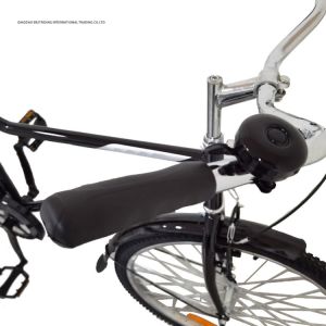 Organization Program Retro Bike 18kg And Hard Frame Non-rear Damper With Cargo