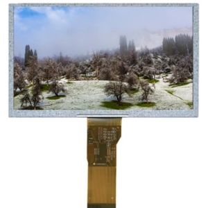 MIPI DSI TFT LCD Touch Screen 6 Inch 720x1440 IPS Industrial
