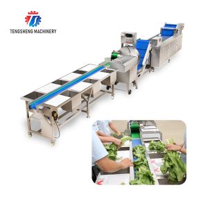 Fruit and vegetable selection, cutting and washing production line Fruit