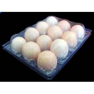 shenzhen factory supply stock egg tray 12 holes PVC folding boxes