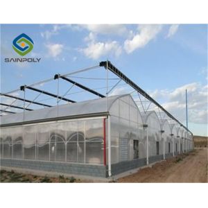 Venlo Roof 9.6m Multi Span Greenhouse For Vegetables