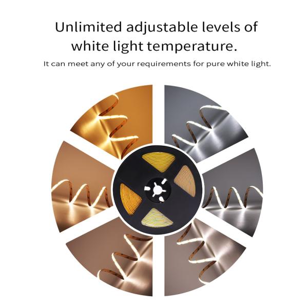 180 Degree Bicolor Led Strip DC 24V CCT COB LED Strip Dimmable 2700k