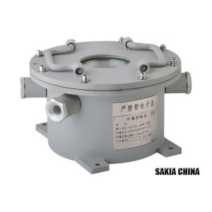 Hazardous Area IP65 Large Size Stainless Steel Explosion Proof DVR Box