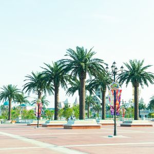 Artificial Date Palm Tree outdoor fake palm tree 10-20ft real touch leaves