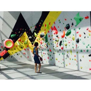 Nature Adults Rock Climbing Holds Customized for Experienced Climbers and Nature