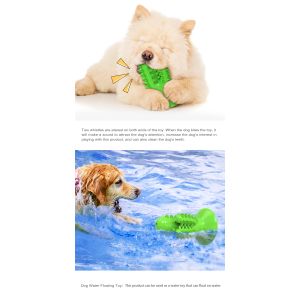 Cactus Dog Teeth Cleaning Chew Toy Squeaky Rubber Relieve Anxiety TPR OEM