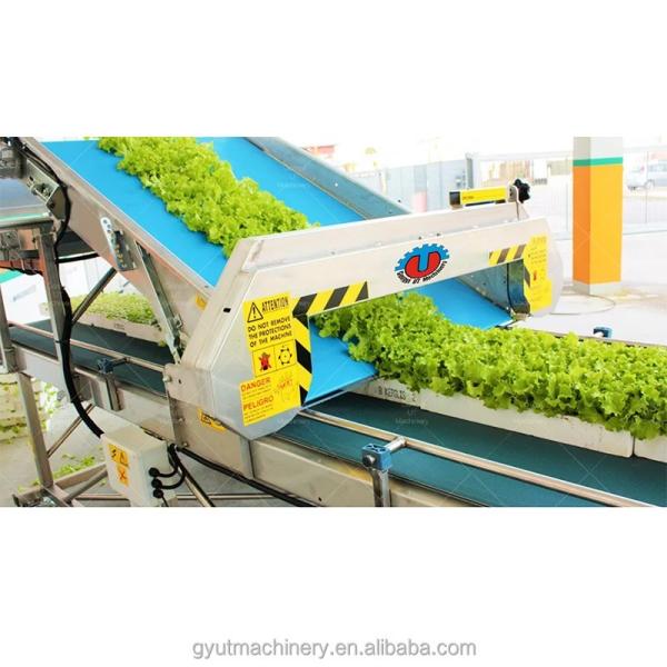TRAY HARVESTER for Microgreens 2024 Greenhouse Grown Cutter And Aquaponics